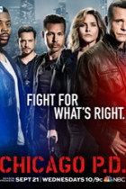 Chicago PD: Favor, Affection, Mallice or Ill-Will 4×15